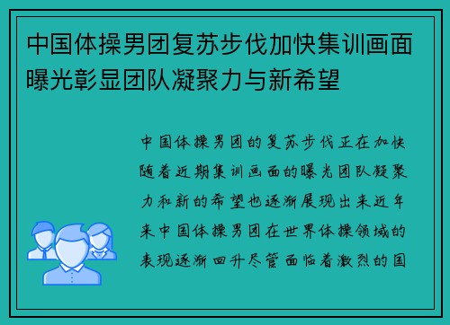 中国体操男团复苏步伐加快集训画面曝光彰显团队凝聚力与新希望