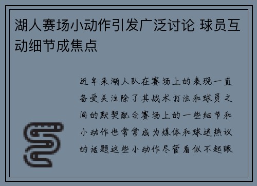 湖人赛场小动作引发广泛讨论 球员互动细节成焦点